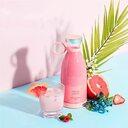 Electric Mini Juice Maker